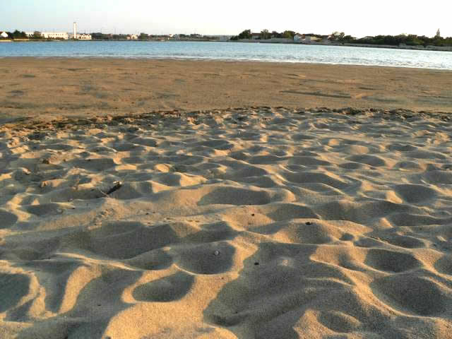 Sandy Beach, Nin