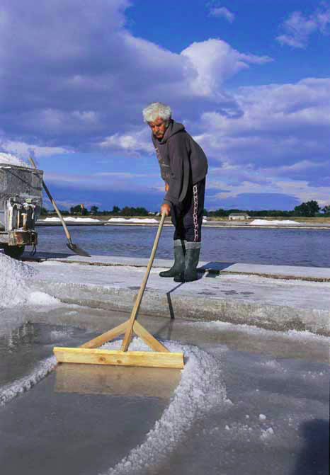 salt